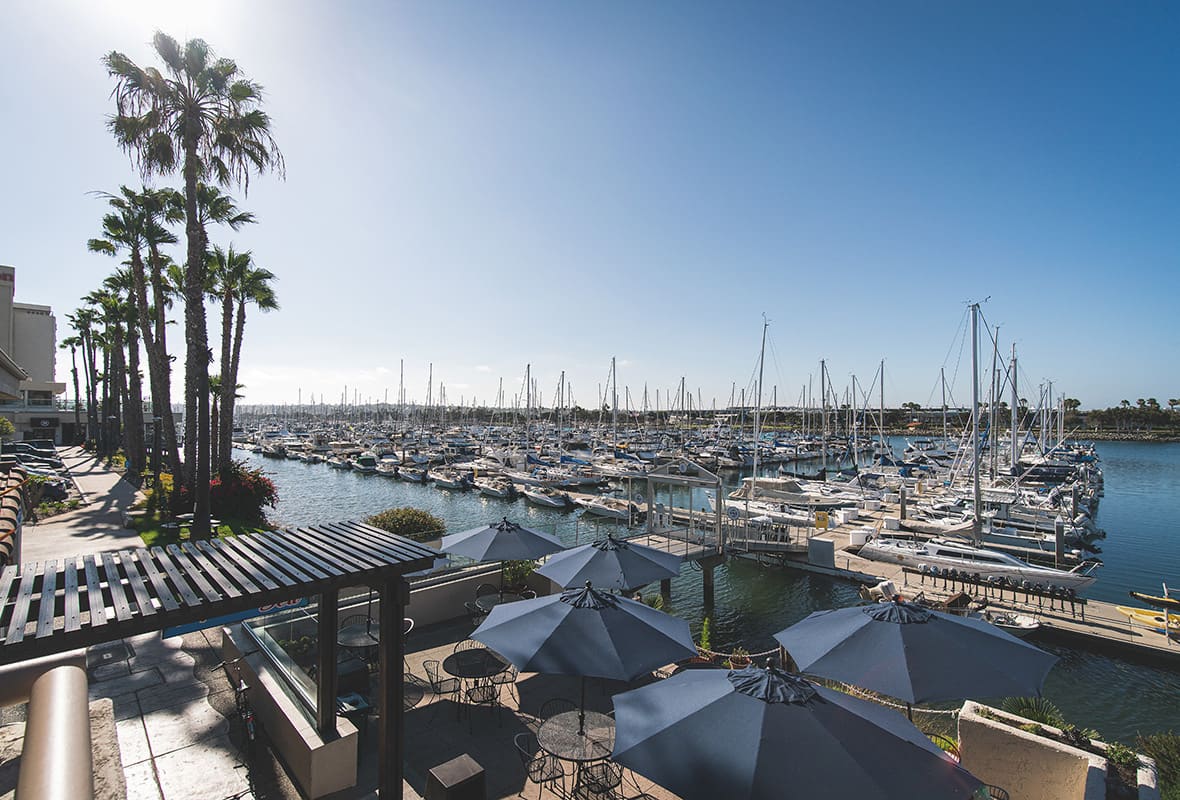 Boats docked at marina