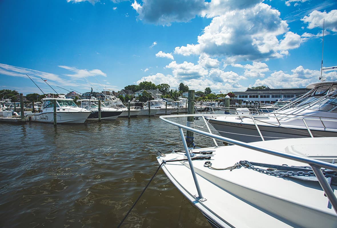 Boats docked at marina