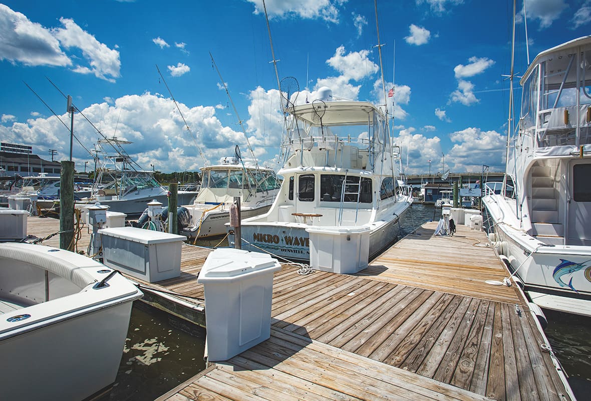 Boats docked at marina