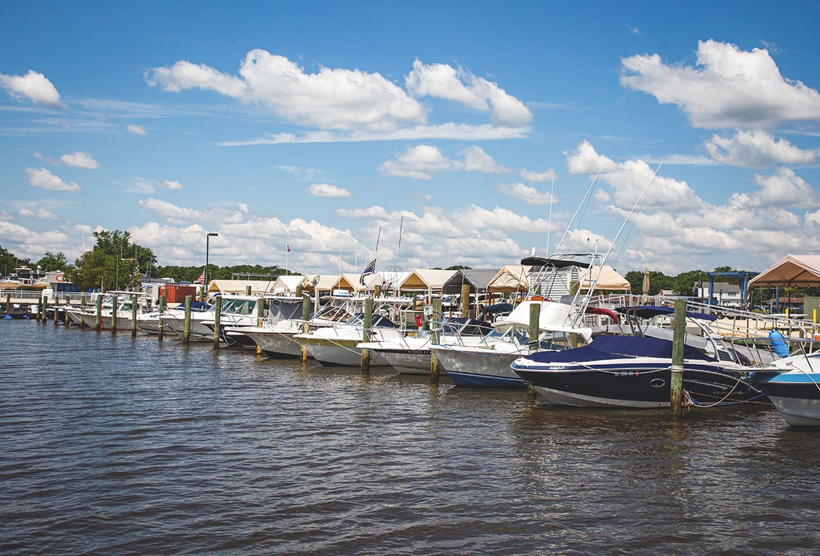 Boats docked at marina
