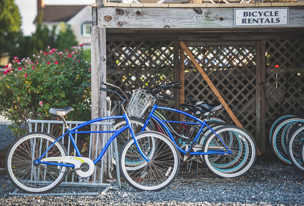 Vélos dans un espace de location de vélos