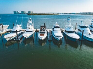 bots docked