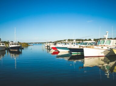 boats in water