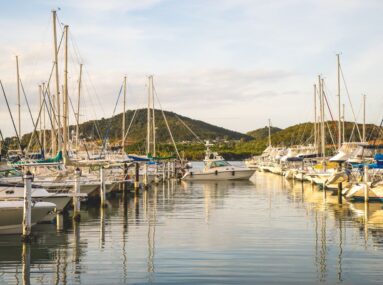 boats in a marina