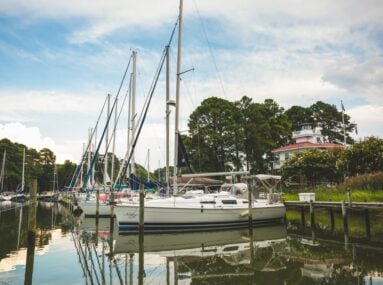 boats in a marina
