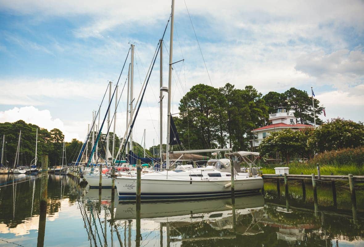 boats in a marina