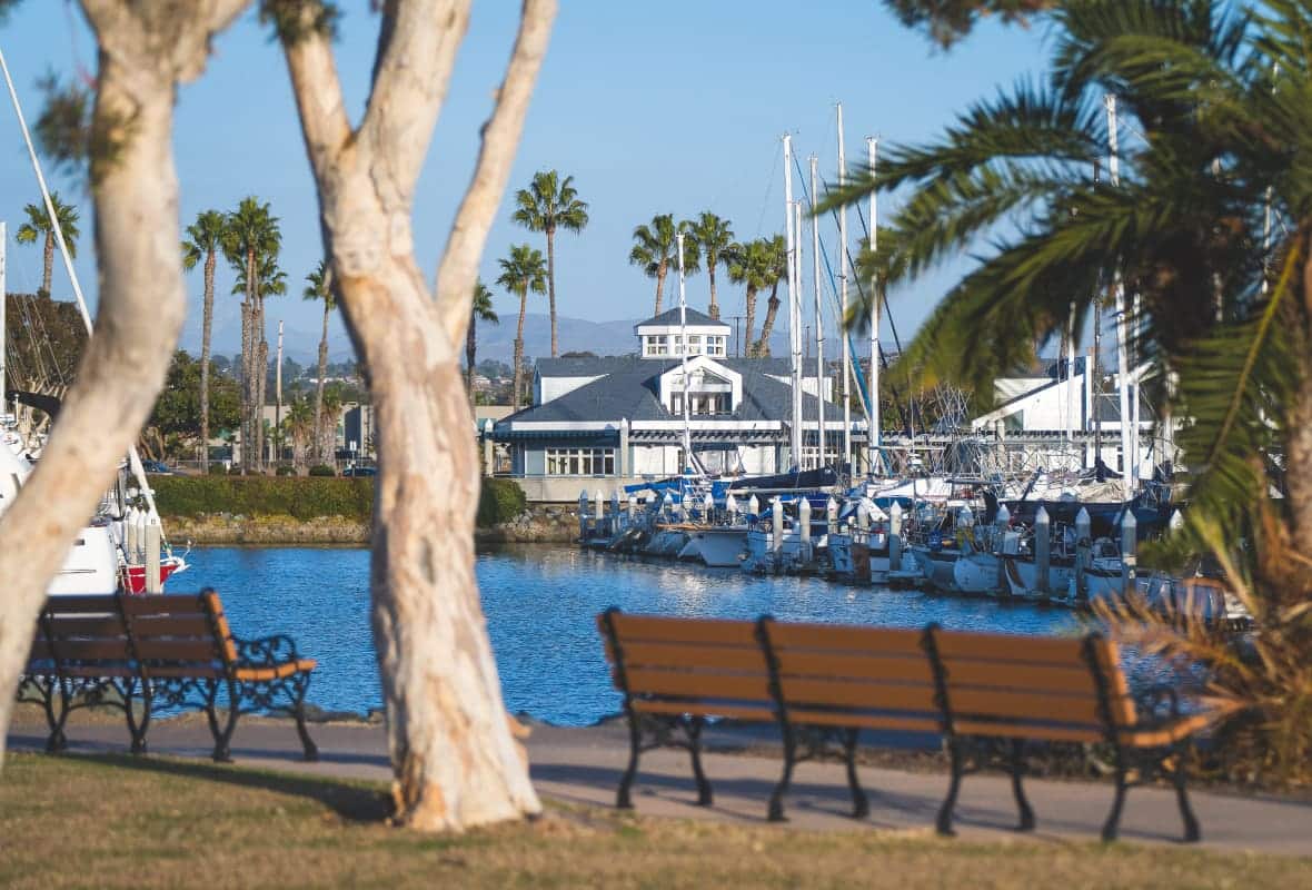 a tree and a bench on the shore of a marina