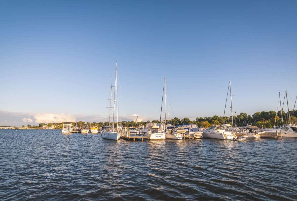 wide view of marina on a sunny day