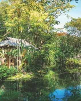 palm beach zoo