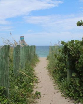 Stuart Beach