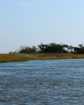 wassaw island