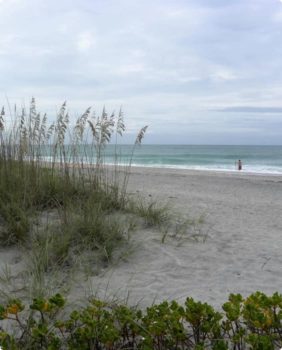 beach with cloudy sky