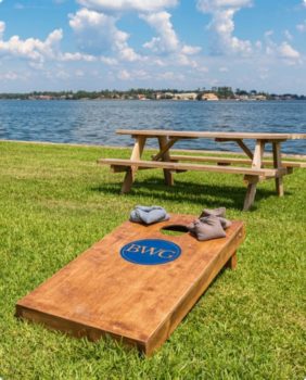 cornhole board