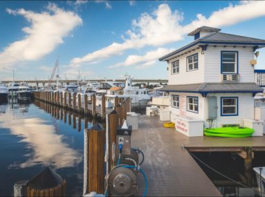 marina with boats