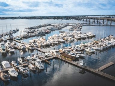 lots of boats in slips