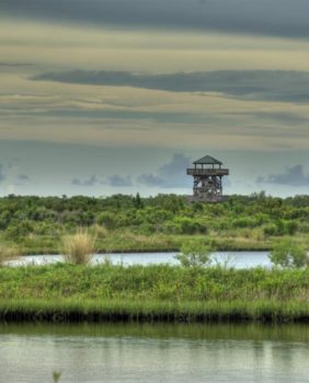 marsh and lighthouse