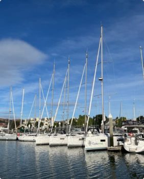 sailboats docked