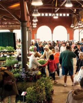 open air market