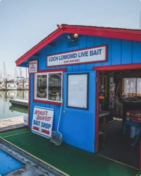 bait store
