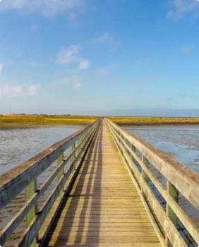 long narrow boardwalk path