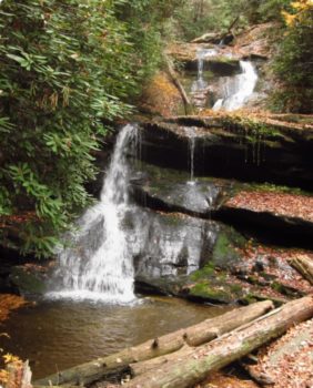 waterfall in woods