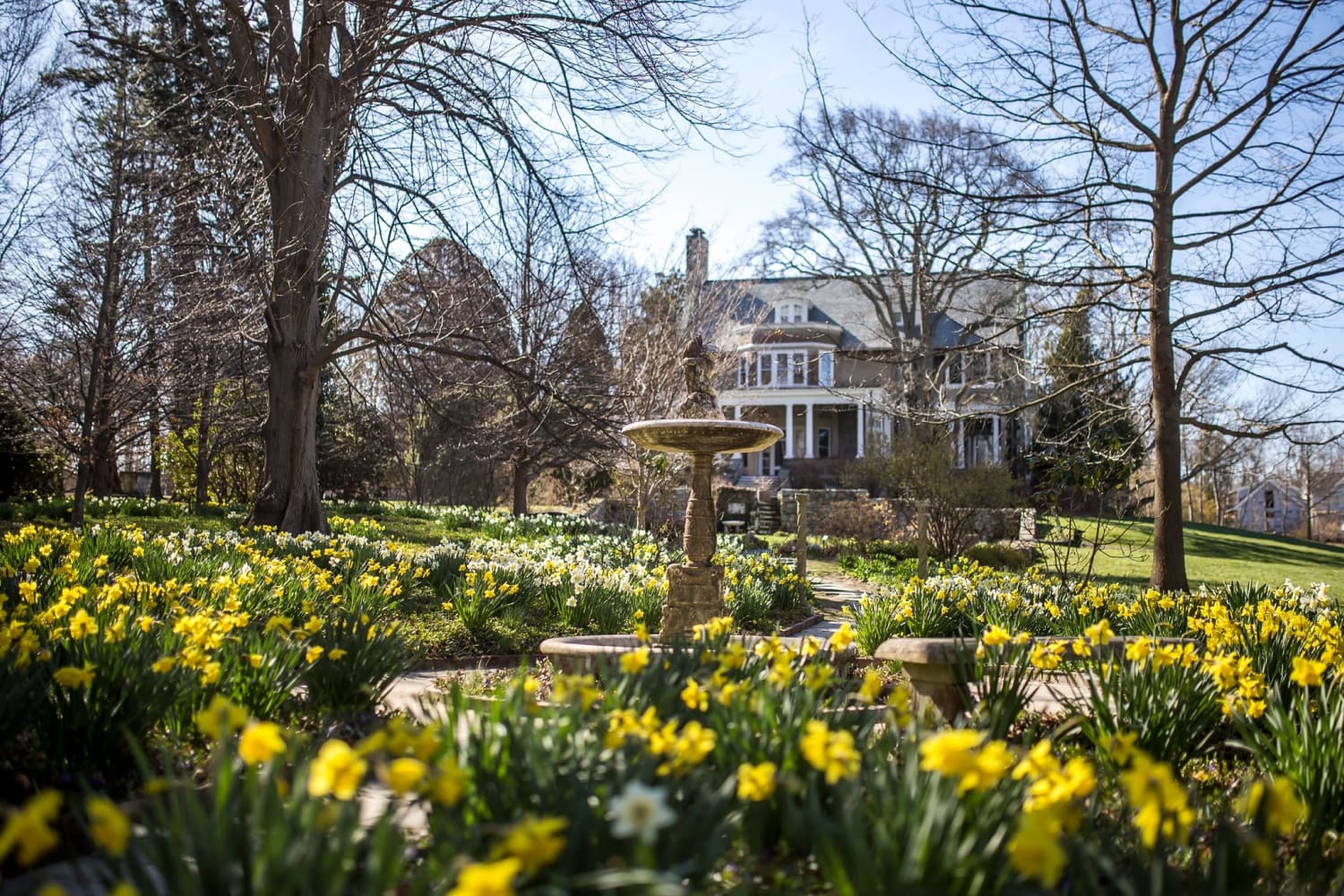 gardens in front of a house