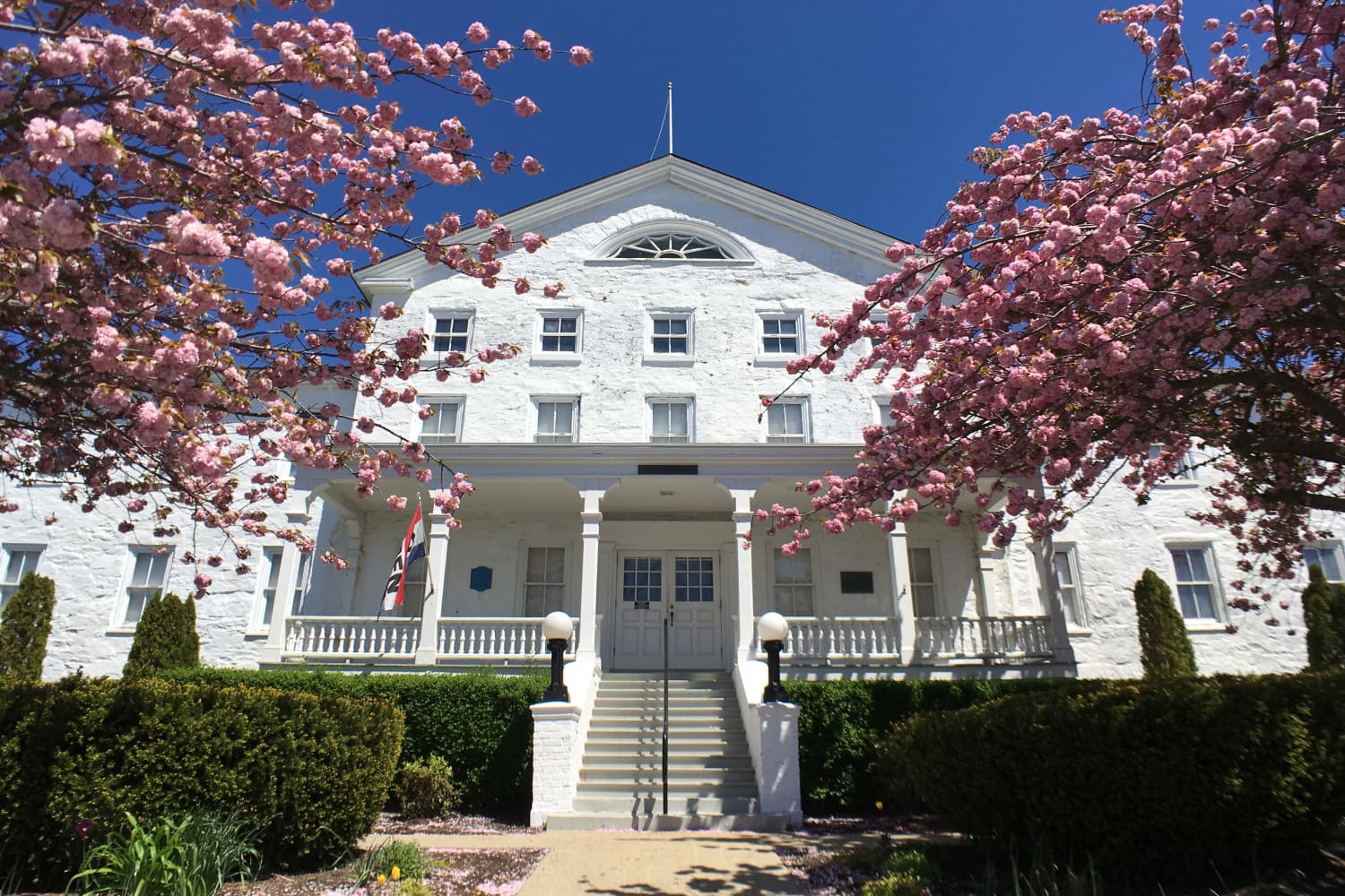 musuem building and pink trees