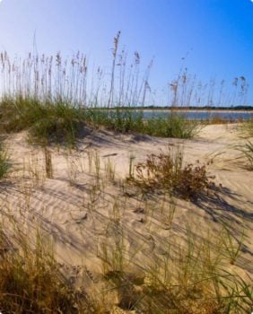 sand dunes
