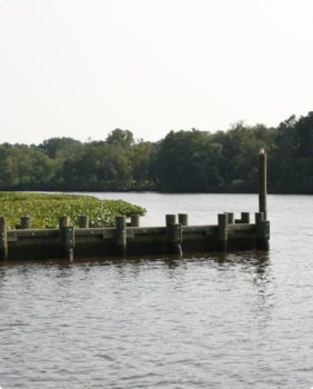 promenade en bois