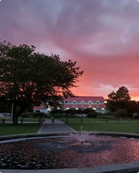 pink skies and a fountain