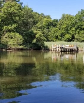 small boardwalk on water