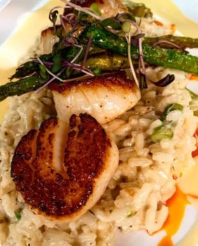scallops