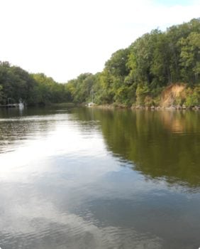 lake and trees