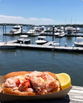 sandwich au homard
