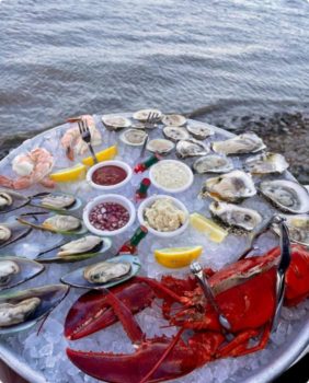oysters