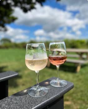 wine glasses