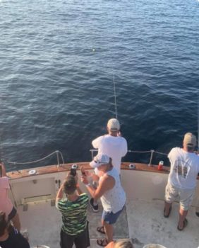 fishing