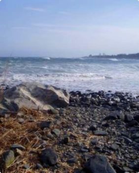 seapoint