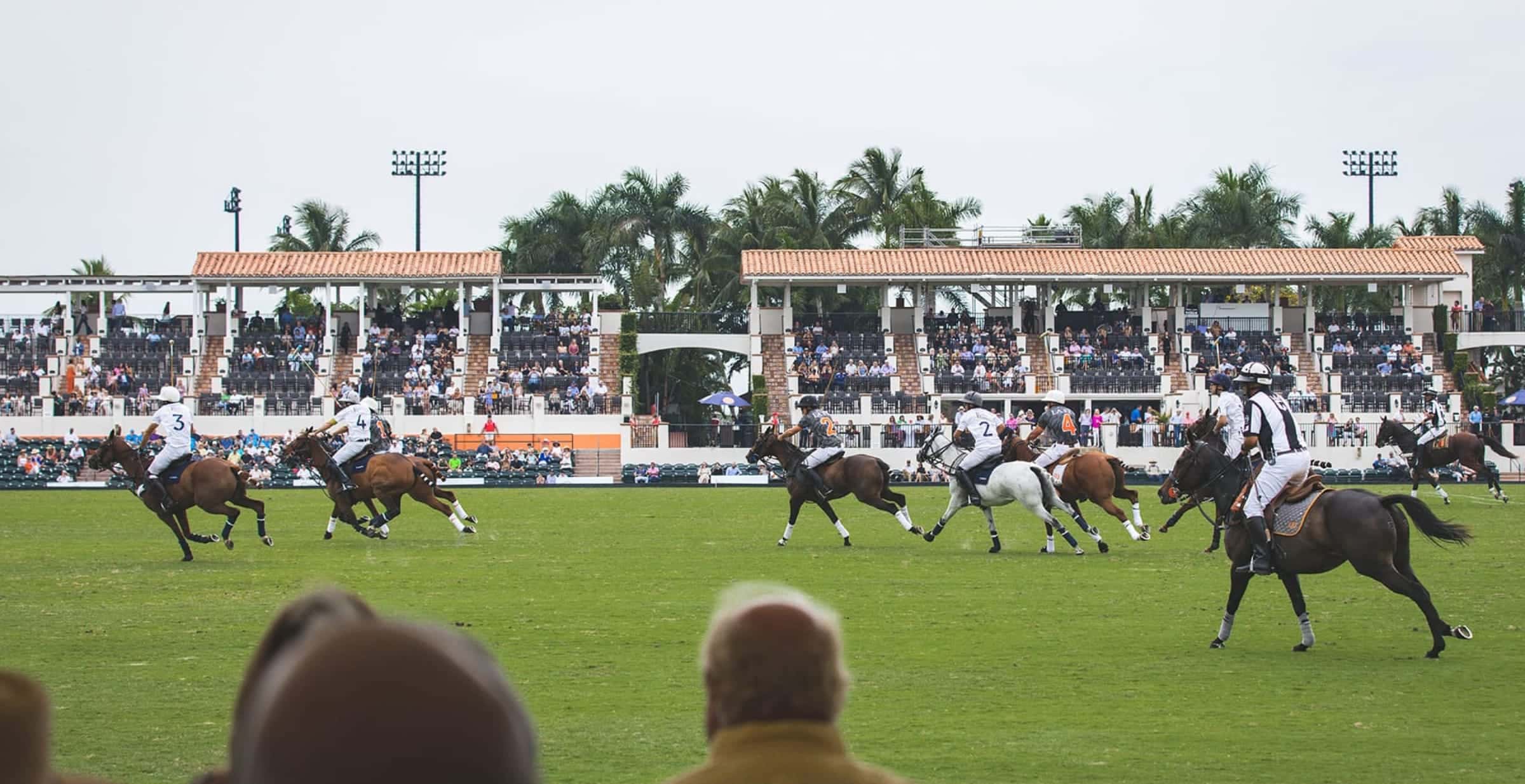 match de polo