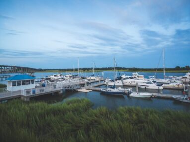 boats in a marina