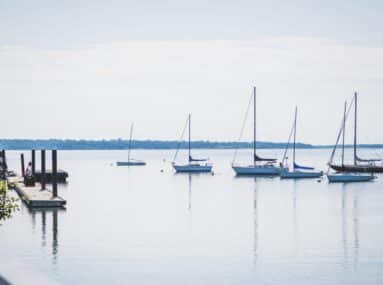 6 sailboats anchored in a bay