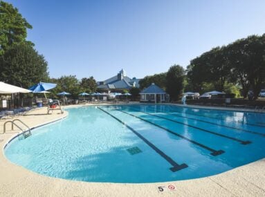 pool surrounded by trees on sunny day