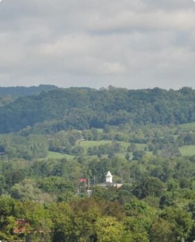green rolling hills with trees