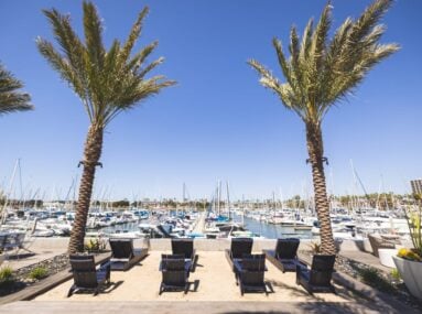 outdoor lounge recliners on a deck with two large palm trees overlooking marina