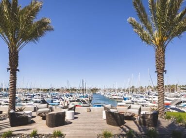 outdoor lounge chairs around two firepits with two large palm trees on a deck overlooking marina