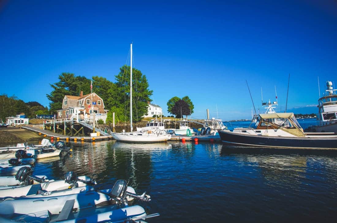 boats in a marina
