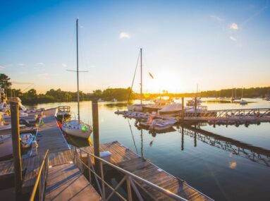 boats in a marina
