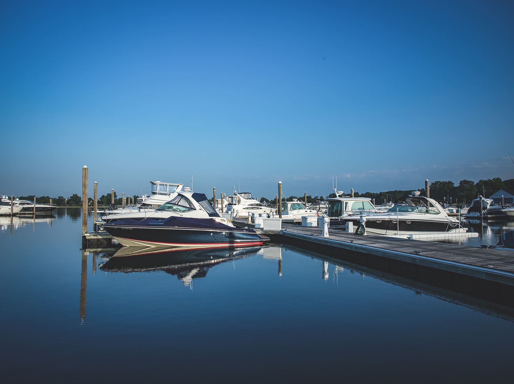 boats docked at marina