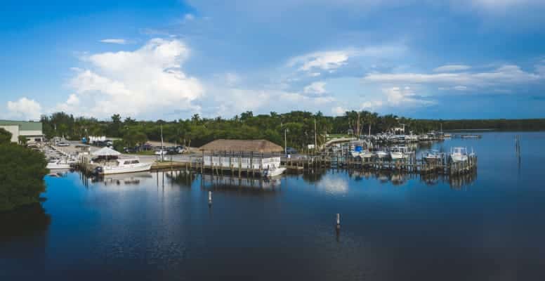 shm-pineland-thumb.jpg